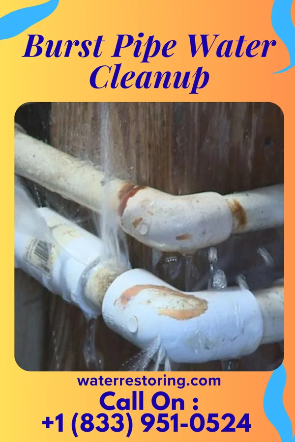 Burst Pipe Water Cleanup in Grabill, IN