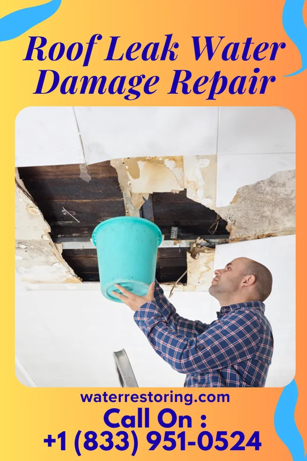 Roof Leak Water Damage Repair in Grabill, IN
