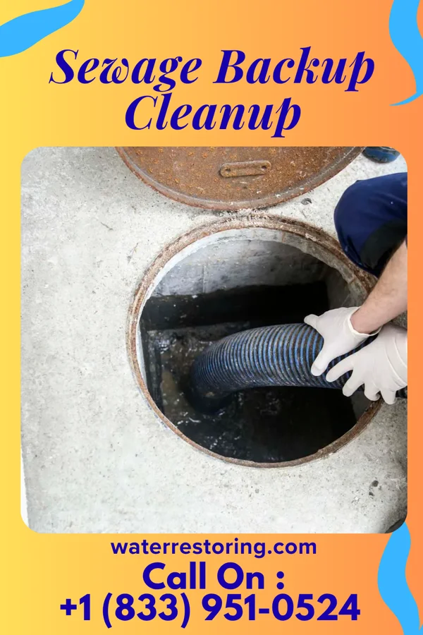 Sewage Backup Cleanup in Grabill, IN